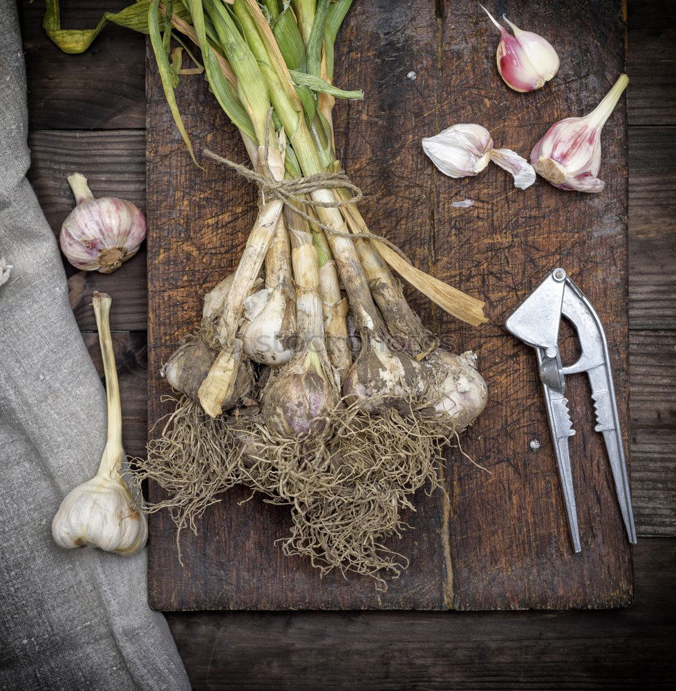 Similar – Image, Stock Photo Spring onion on a rustic wooden table