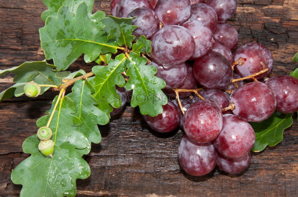 Similar – Image, Stock Photo harvest grapes Food Fruit