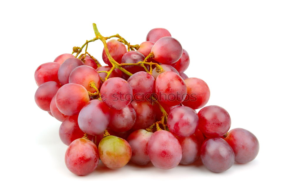 Similar – Image, Stock Photo Grapes bunch