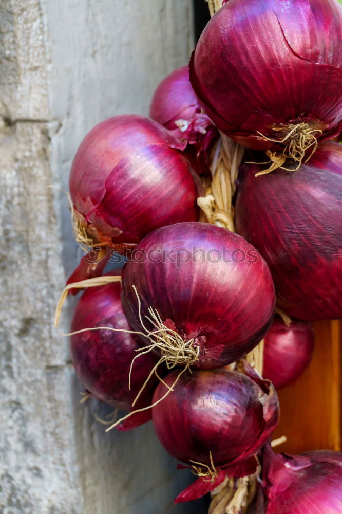 Similar – Image, Stock Photo Various beetroot on old wood