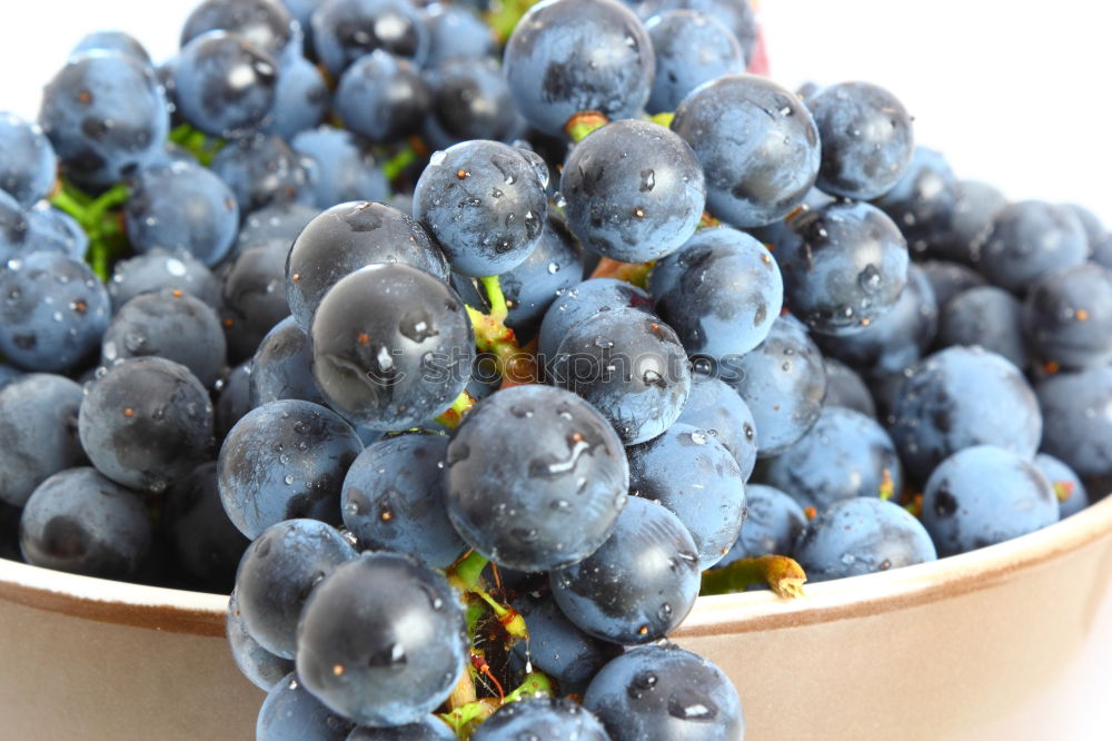 Similar – Foto Bild Blau blau blau sind alle meine Beeren