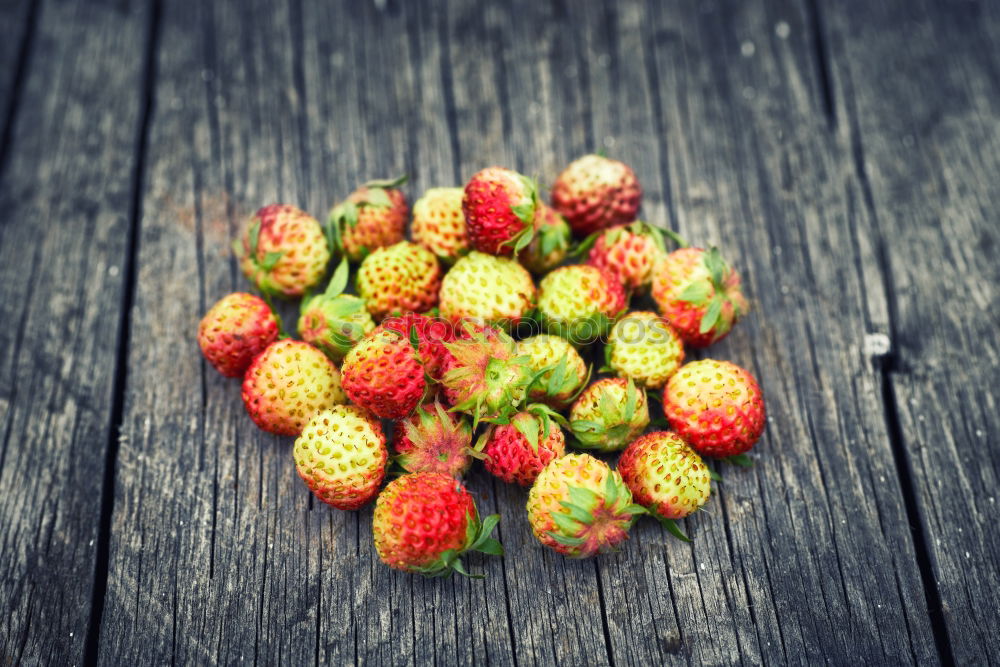 Bunch of red wild strawberry