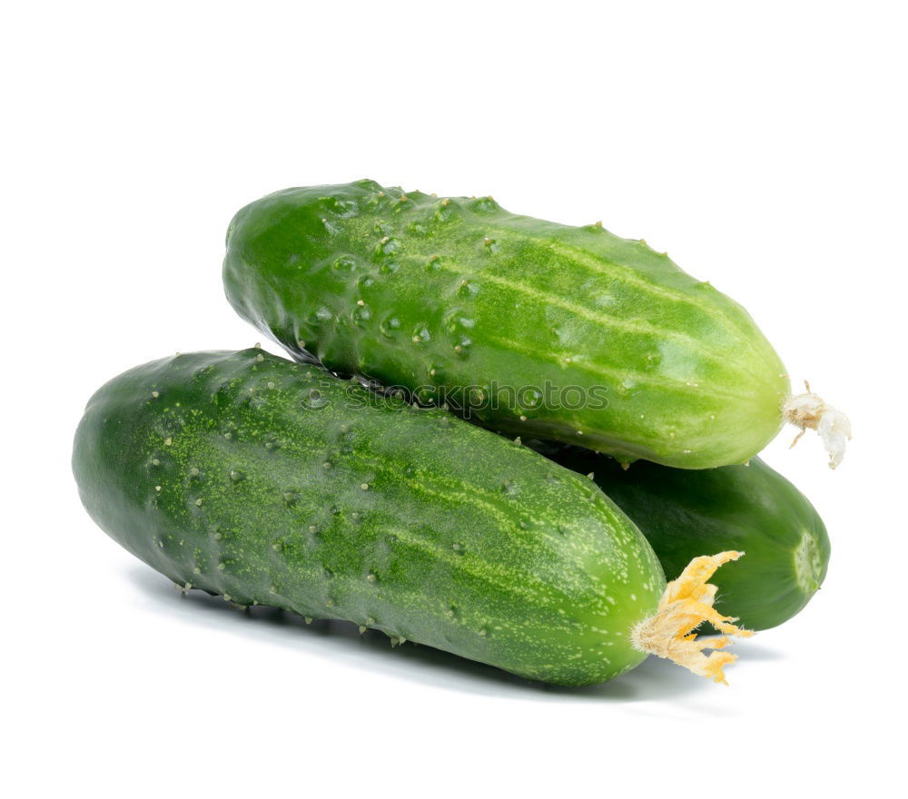 Similar – Image, Stock Photo Freshly harvested