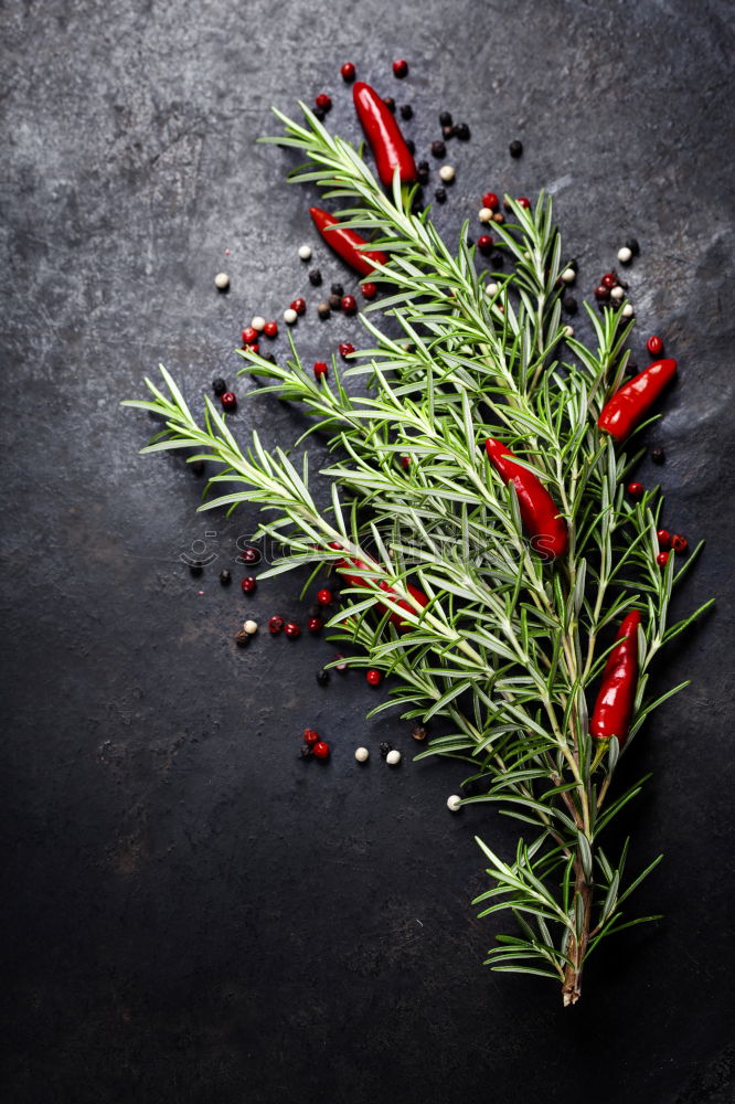 Similar – Image, Stock Photo Red chilli and rosemary with spices