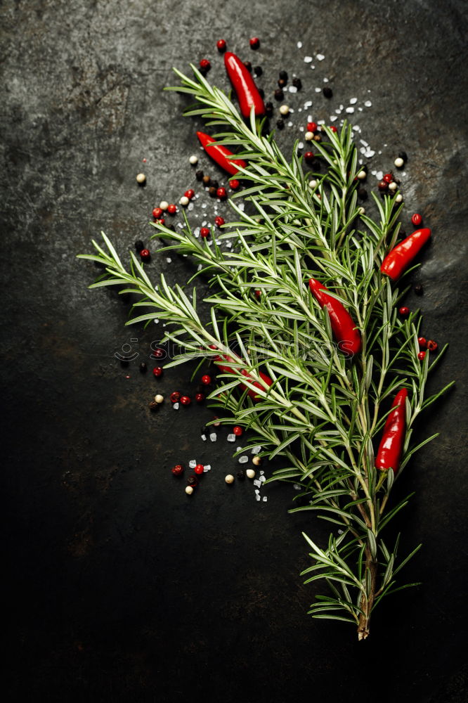 Similar – Image, Stock Photo Red chilli and rosemary with spices