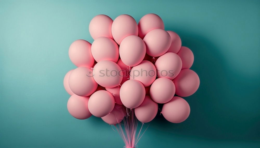 Similar – Image, Stock Photo Pink flowers row on turquoise dark background