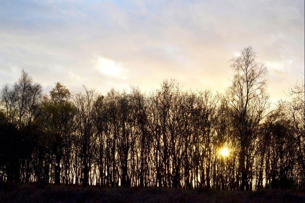 Similar – Image, Stock Photo What will the climate be like?