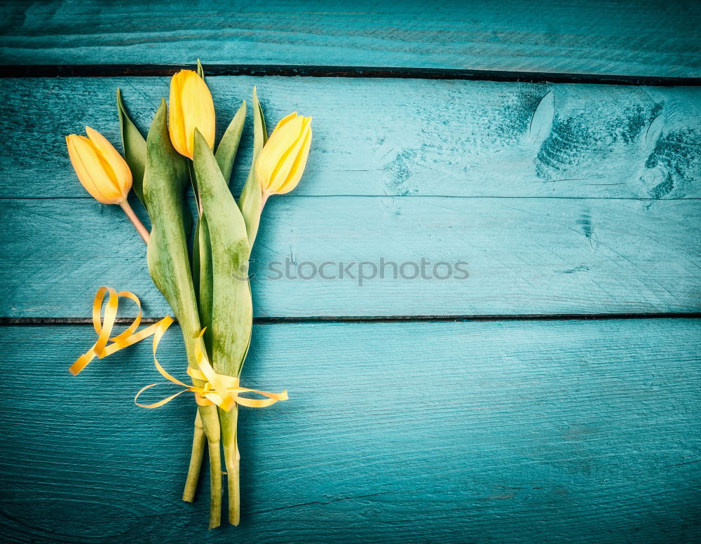 Similar – Vier Anemonen-Sylvestris