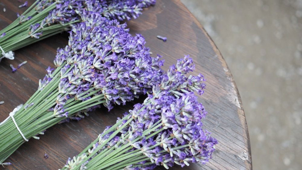 Similar – Lavender Perfume