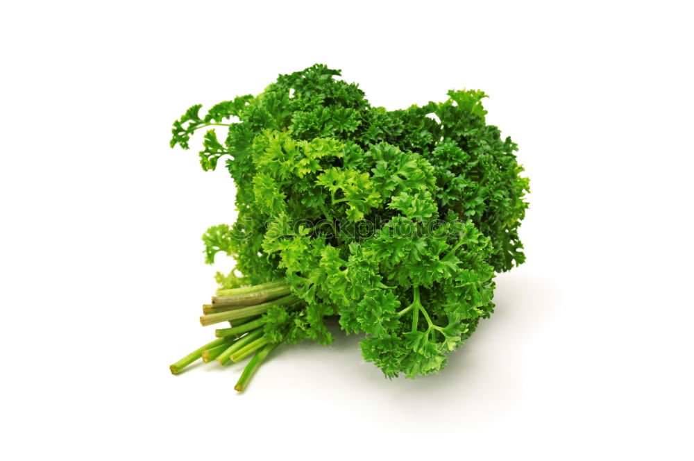 Similar – Image, Stock Photo parsley Parsley