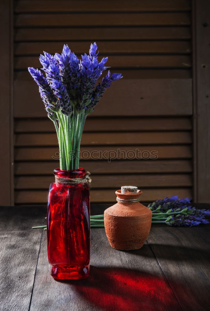 Similar – Autumn Decoration with Purple Aster