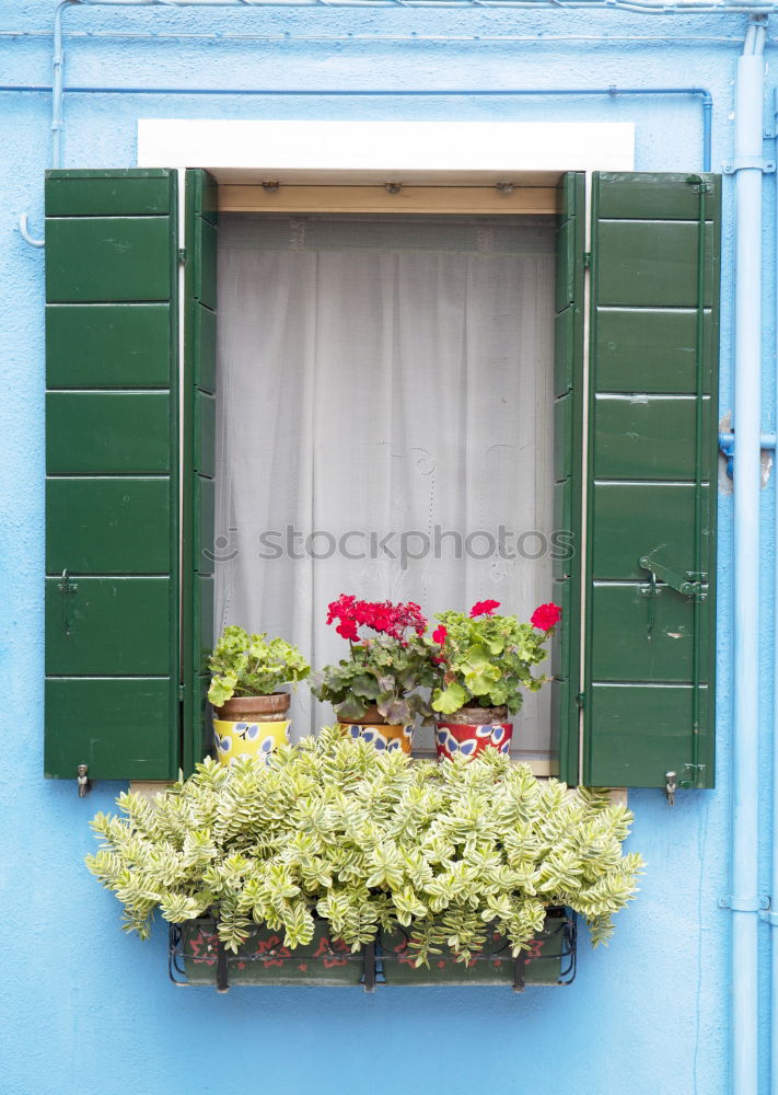 Similar – Image, Stock Photo Christmas preparation