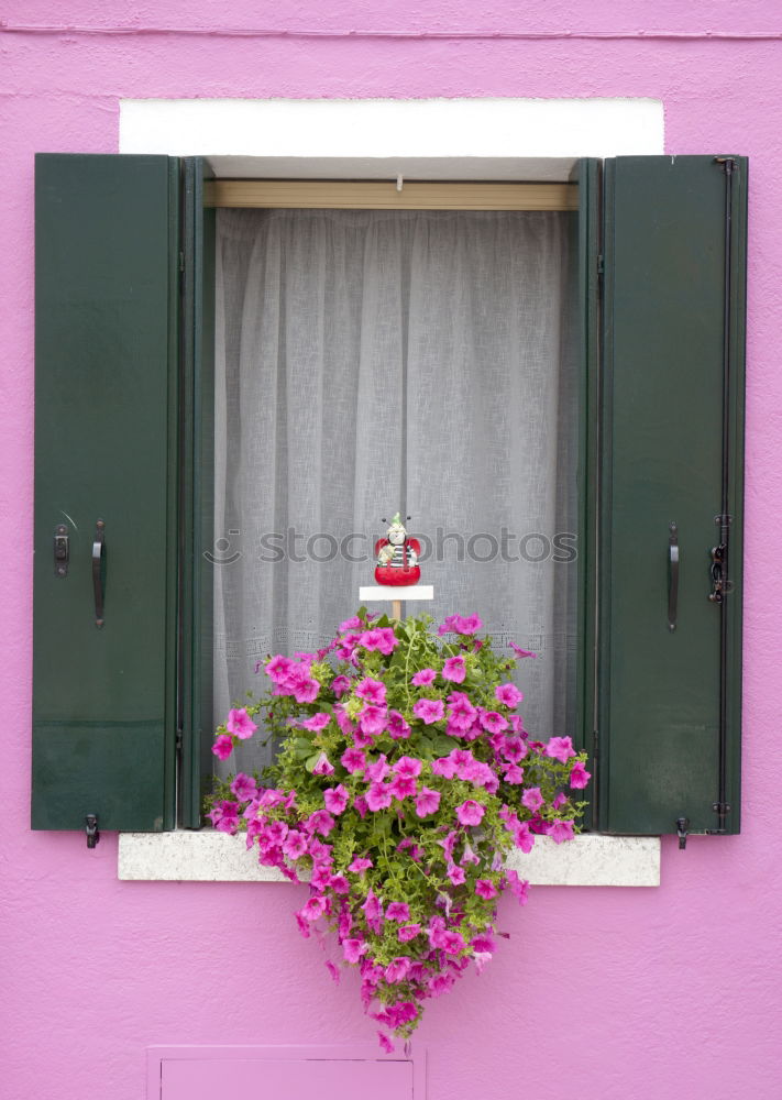 Similar – Image, Stock Photo spring Environment Plant