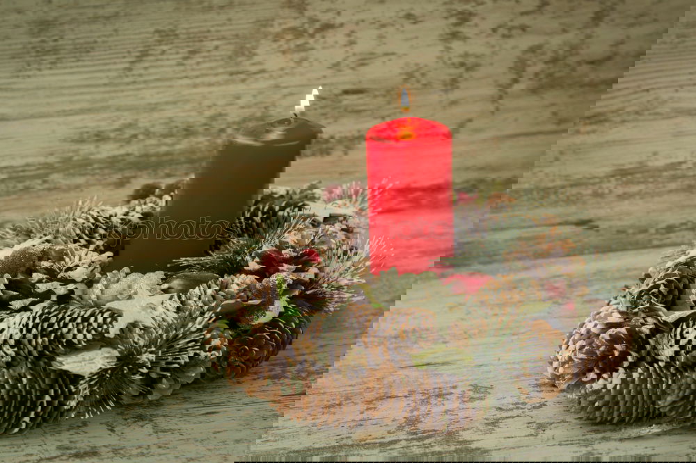 Similar – Image, Stock Photo Paper bag with wooden fir tree as decoration and burning candle standing on a table in front of a dark blue background