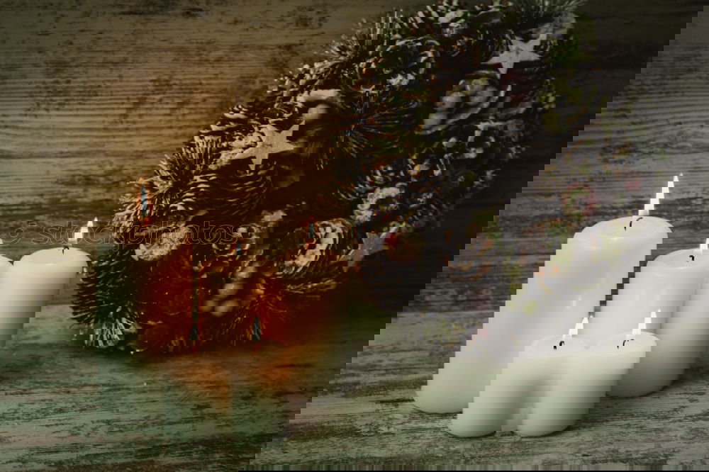 Similar – Image, Stock Photo White Christmas candles