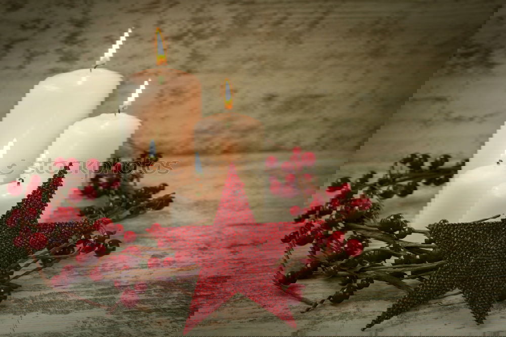 Similar – Image, Stock Photo Red Christmas star with branch of berries