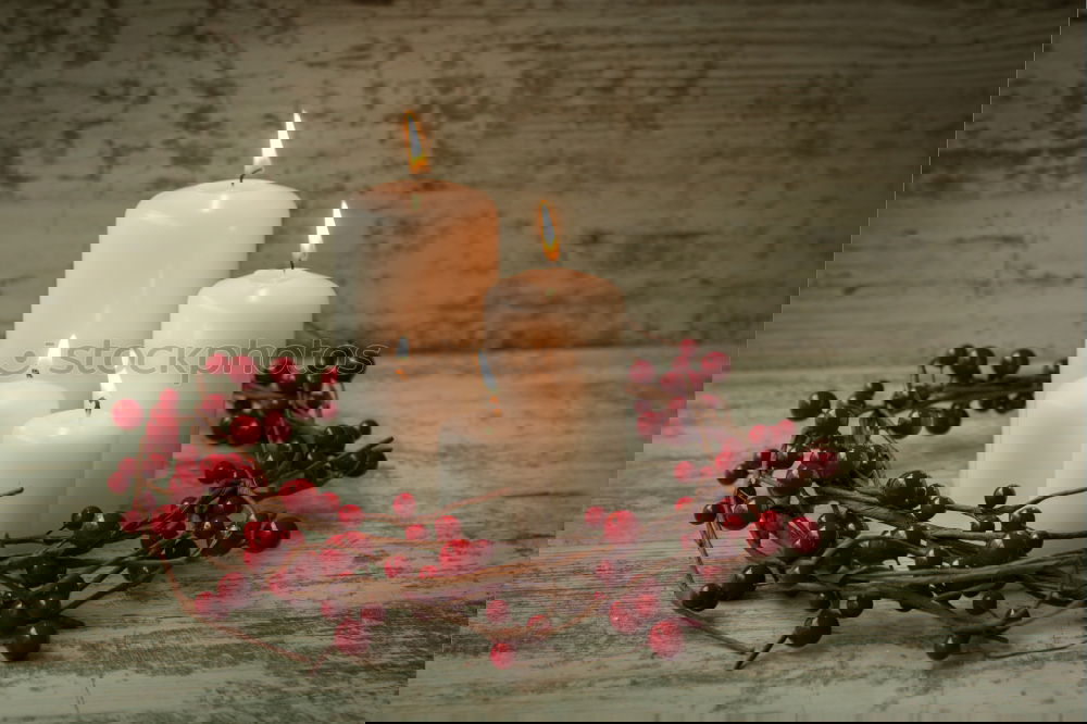 Similar – Image, Stock Photo White Christmas candles