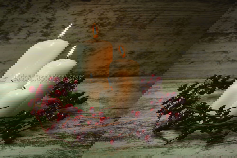 Similar – Image, Stock Photo White Christmas candles