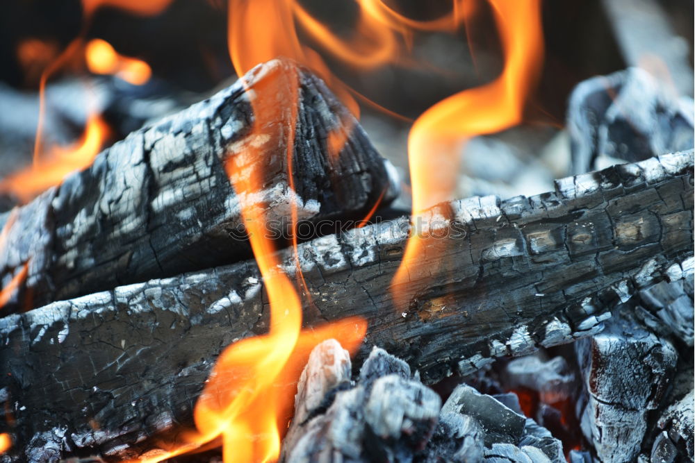 Similar – Image, Stock Photo Burn down Bavaria II