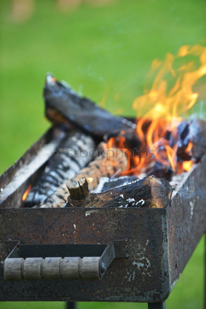 Similar – Ich weiß was du letzten Sommer gegrillt hast