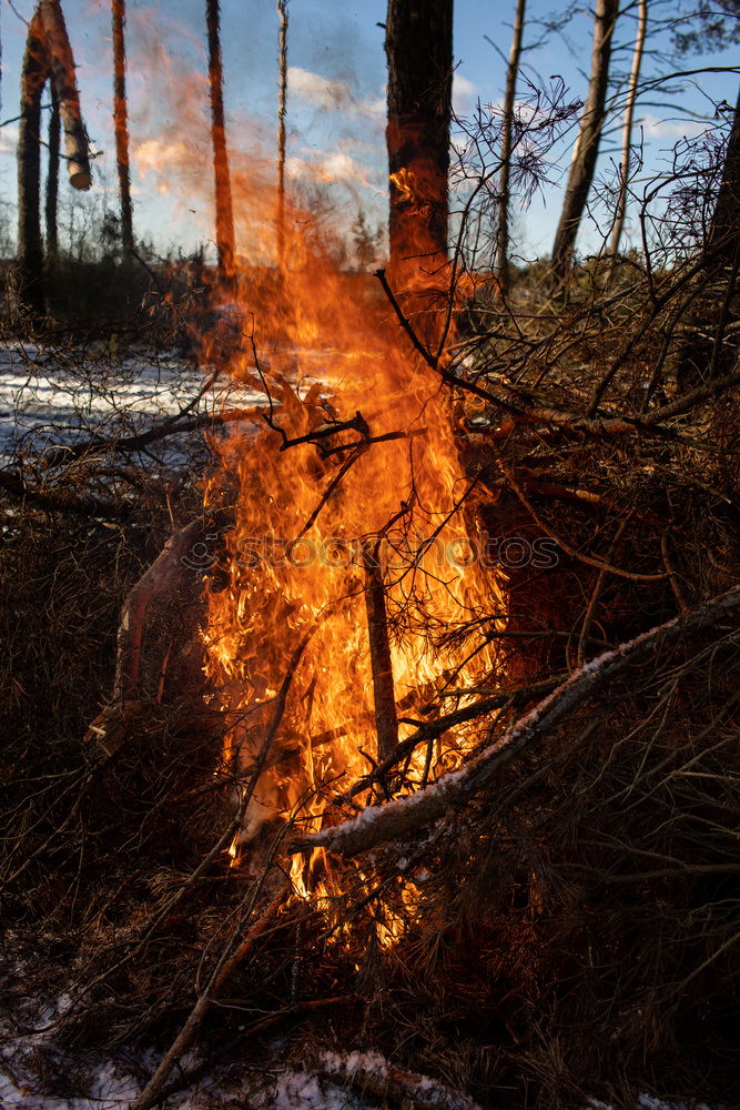 Similar – Man lights a fire in the fireplace