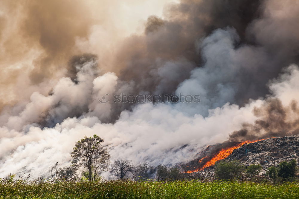 Similar – Image, Stock Photo Dramatic Detail Fire Burning Hill Brush and Tree