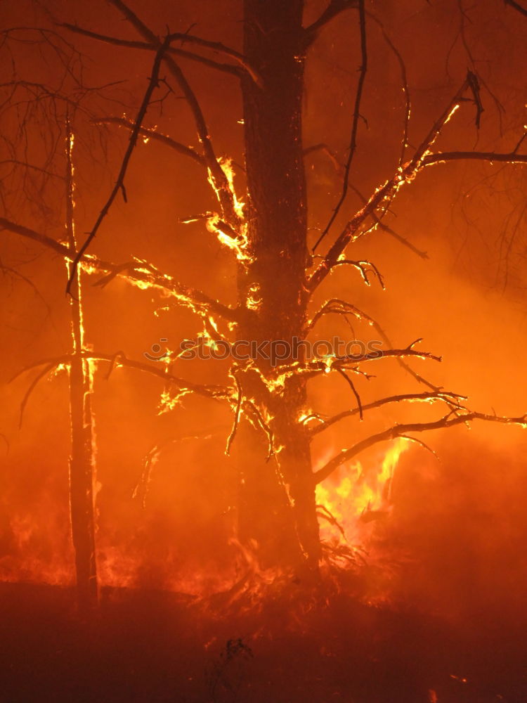 Similar – Image, Stock Photo Forest fire Agriculture