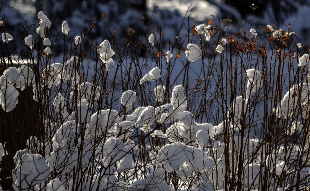 Similar – Foto Bild Winter Nebensaison