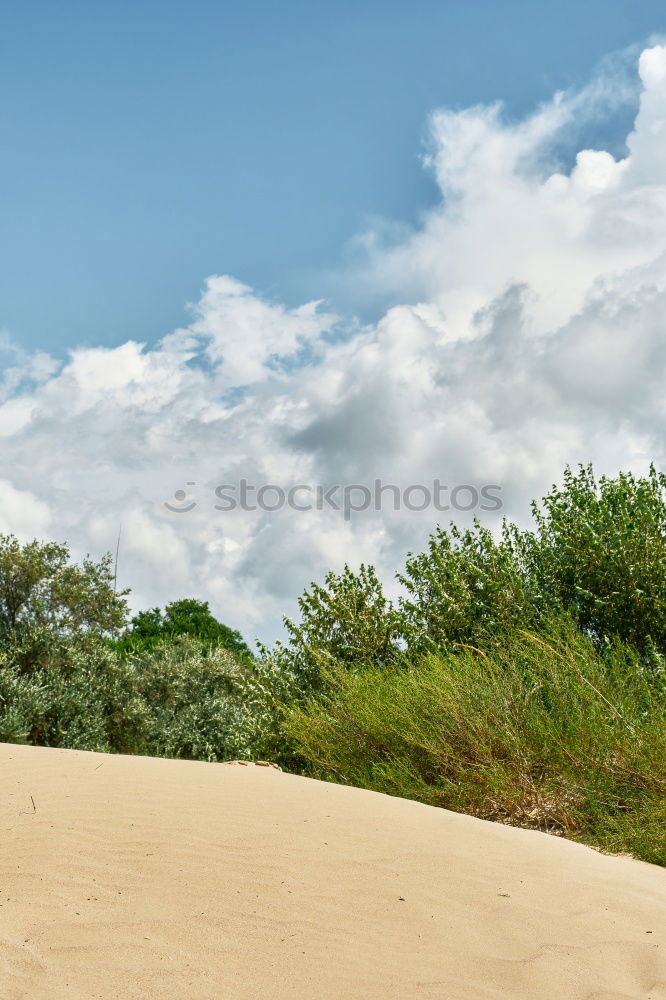 Similar – Image, Stock Photo Miami Dreams Sunshade