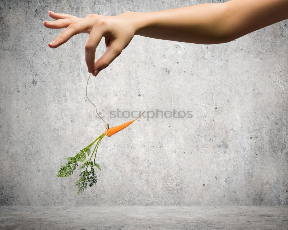 Similar – Image, Stock Photo paprika (2) feet Legs