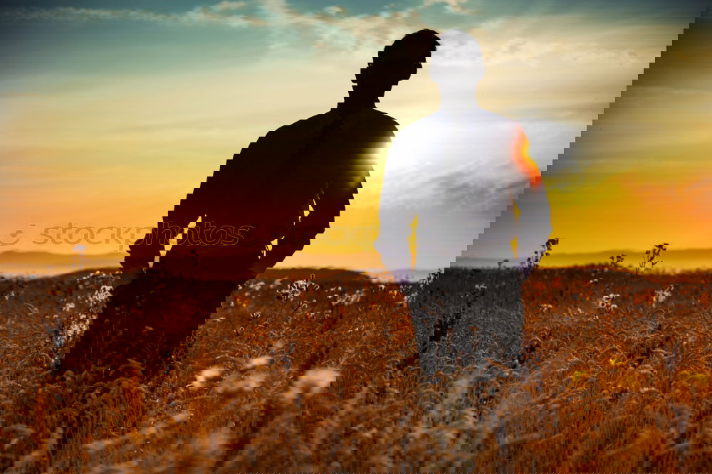 Image, Stock Photo Man walking on sunny field