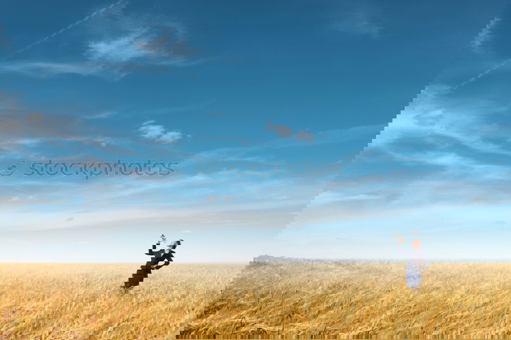 Similar – Image, Stock Photo Oktoberfest