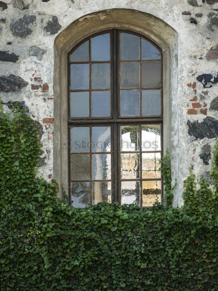 Similar – Foto Bild Ein Haus im Grünen Baum