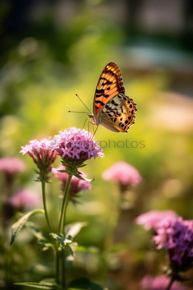 Similar – Image, Stock Photo colourful Nature Plant