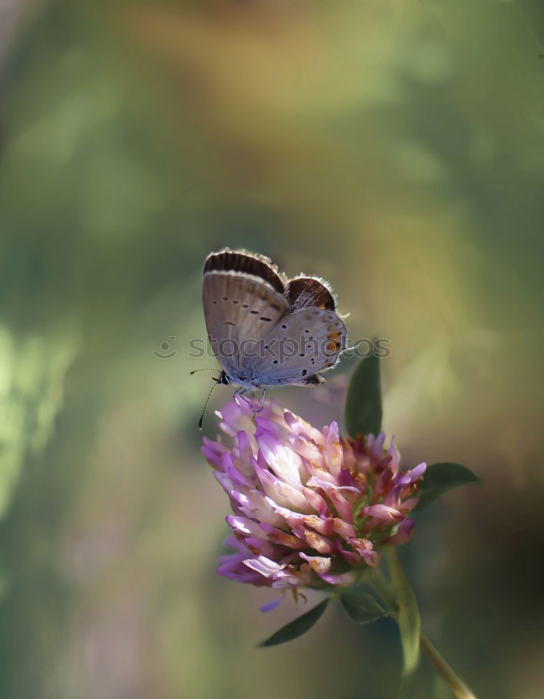 Similar – Image, Stock Photo Take a break. Environment