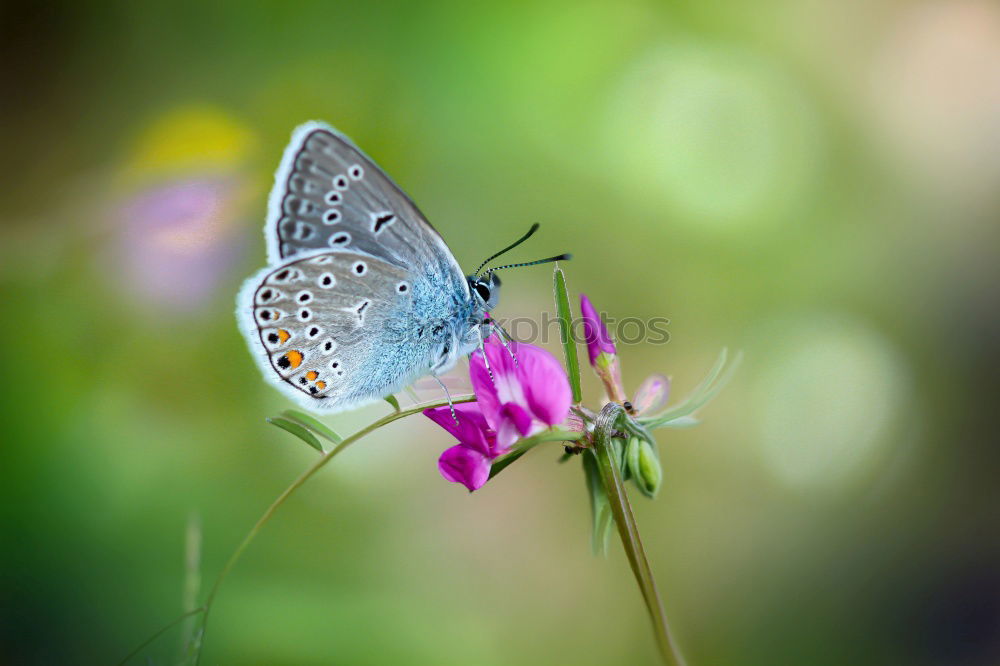 Similar – blue Environment Nature