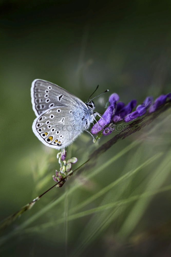 Similar – Image, Stock Photo on top Environment Nature