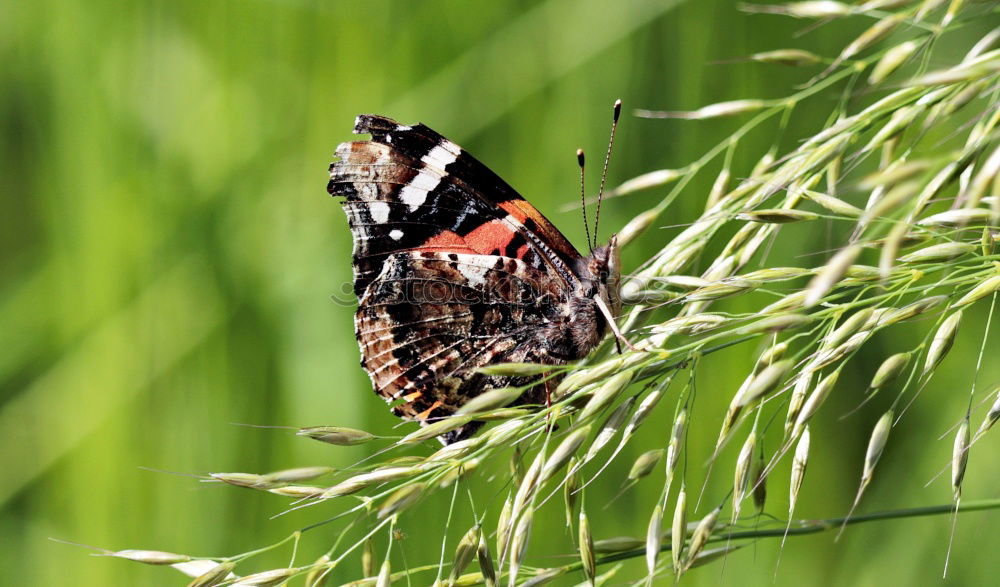 Similar – Image, Stock Photo Outing to the countryside on a warm October day
