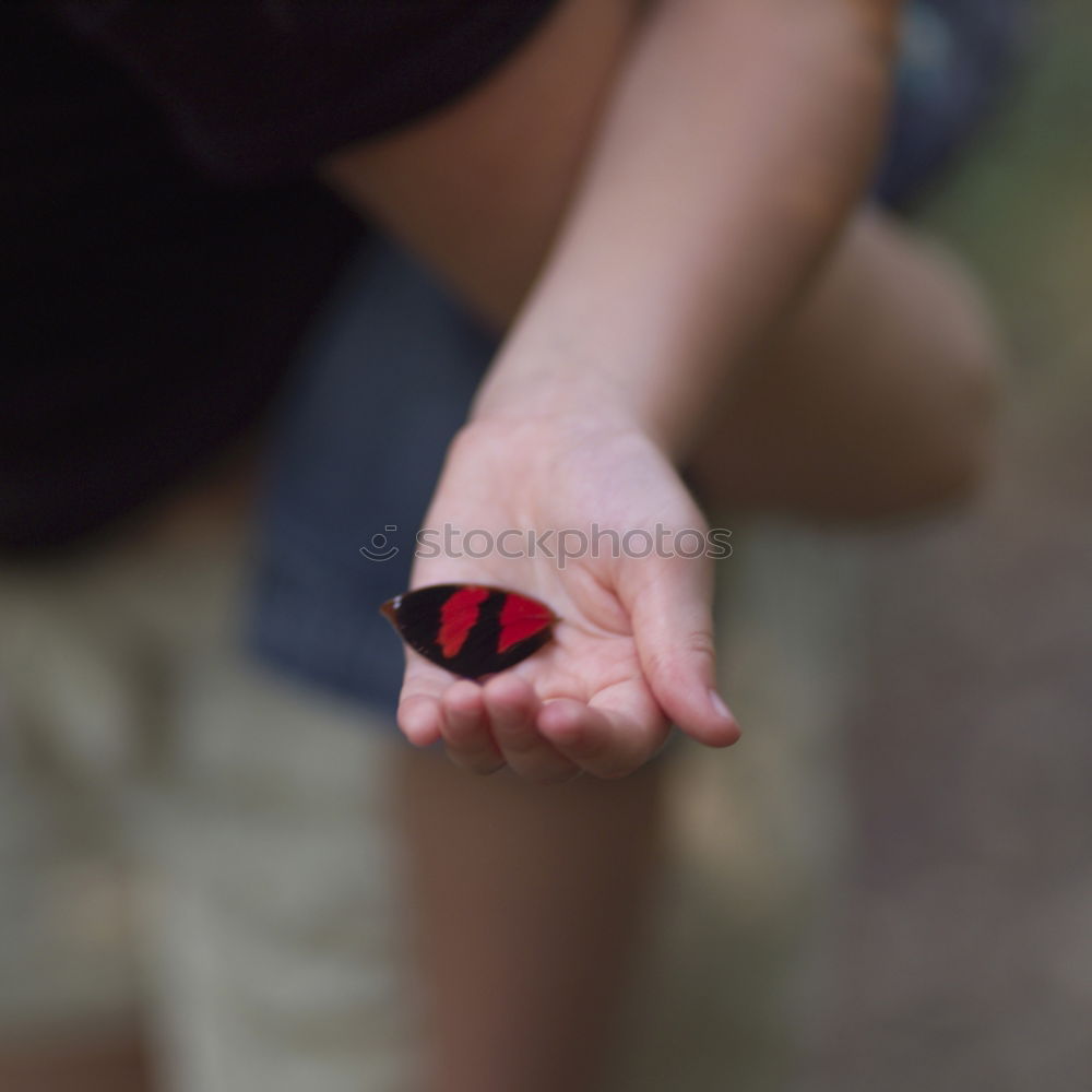 Similar – Image, Stock Photo Child holds beans seeds in hand