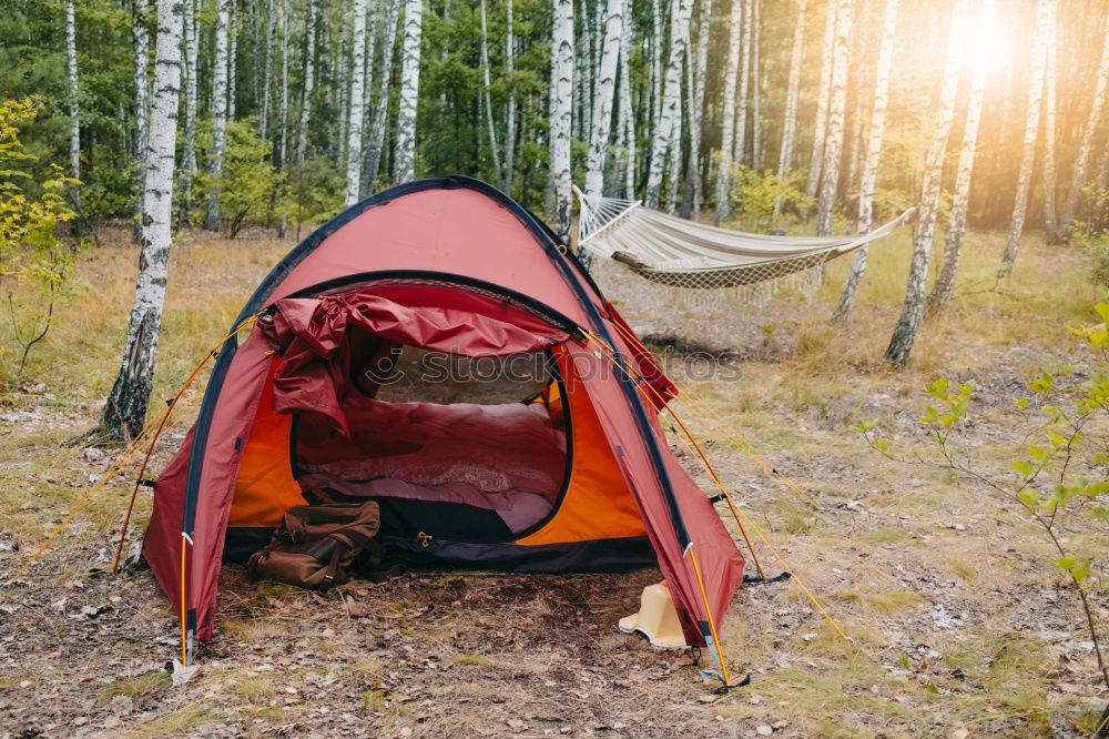 Similar – Orange tent in a pine forest