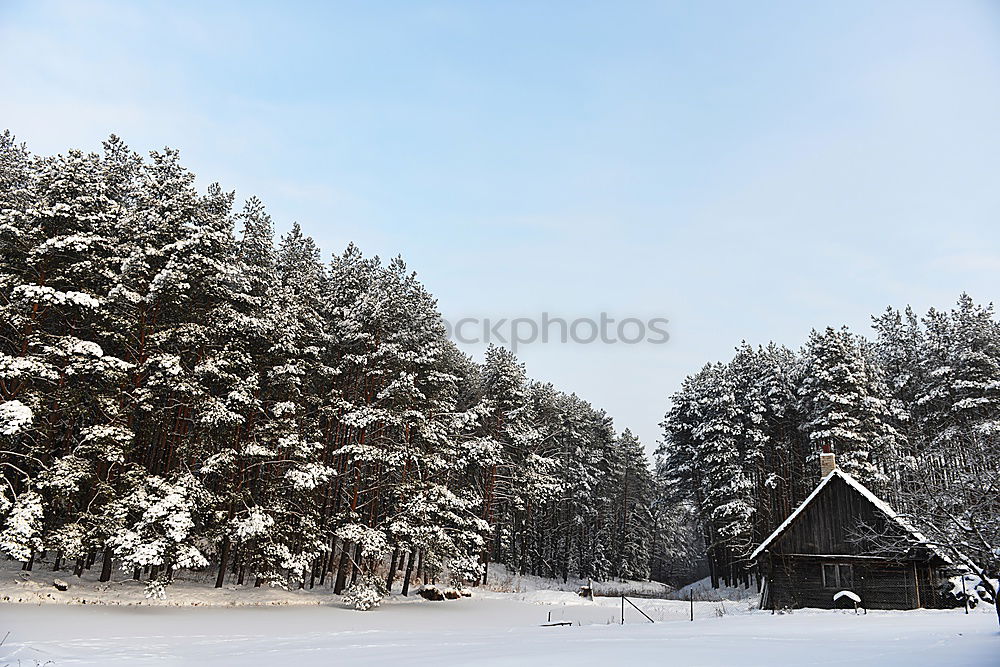 Similar – winter hike in the northern Black Forest on a sunny day