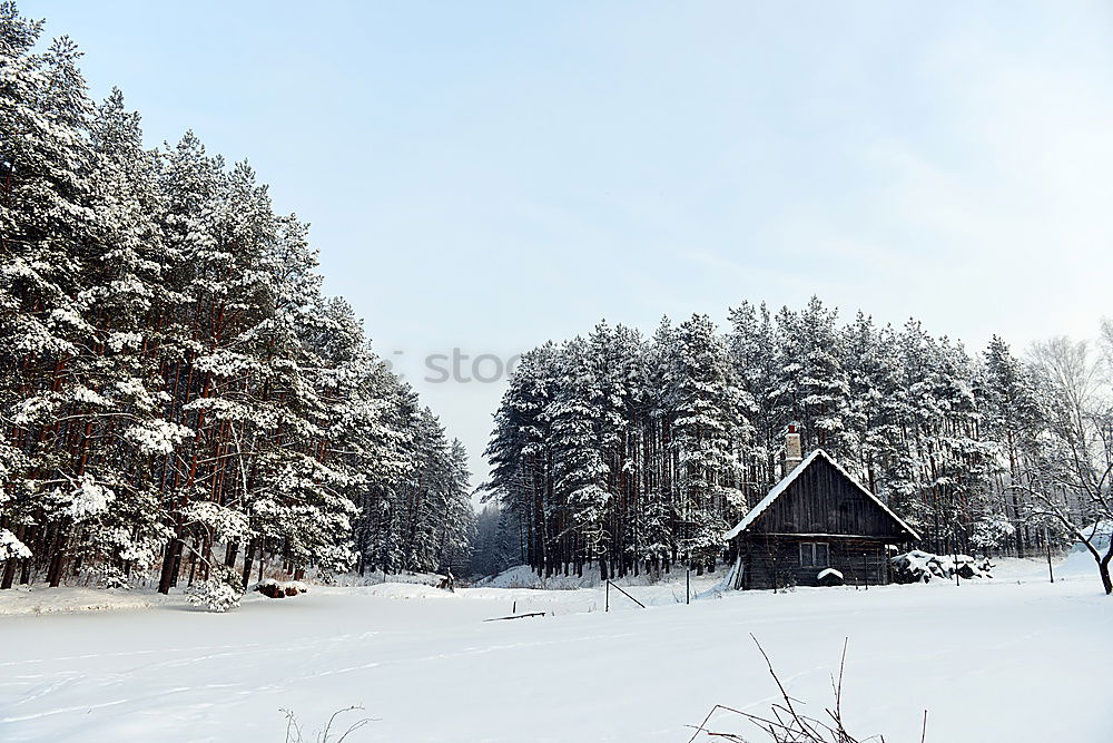 Similar – Foto Bild luosto XX