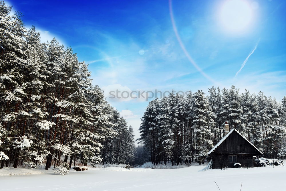 Similar – Image, Stock Photo winter hike in the northern Black Forest on a sunny day