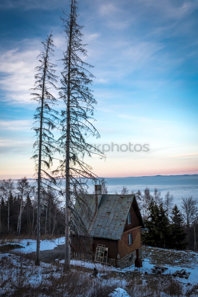 Similar – Image, Stock Photo Tent in winter forest