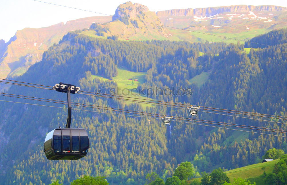 Similar – Image, Stock Photo Railway Summer Forest