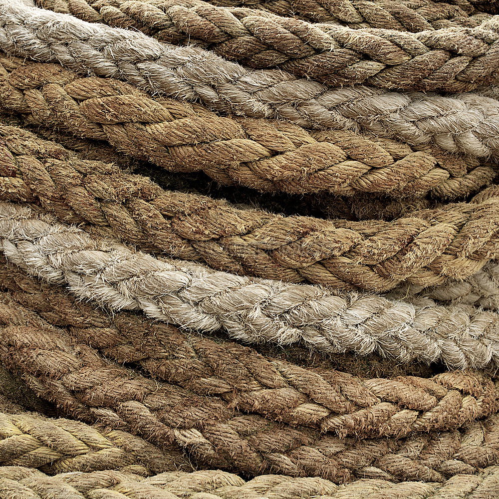 Similar – Image, Stock Photo Tapeworm or sailor’s yarn?