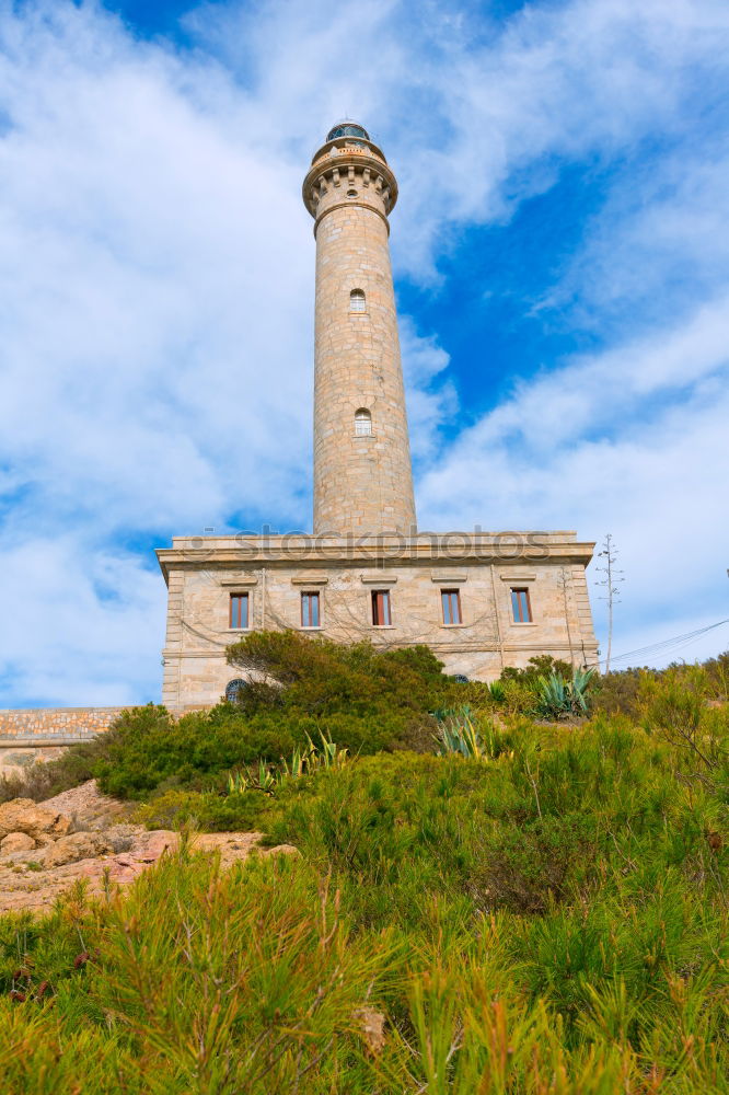 Similar – Image, Stock Photo Lighthouse Dornbusch on Hiddensee