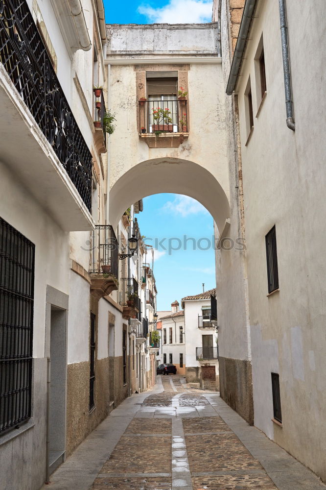 Similar – old town Town Downtown