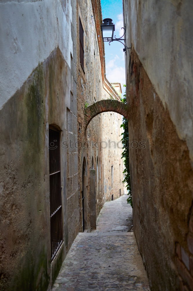 Similar – Image, Stock Photo ramatuelle Town