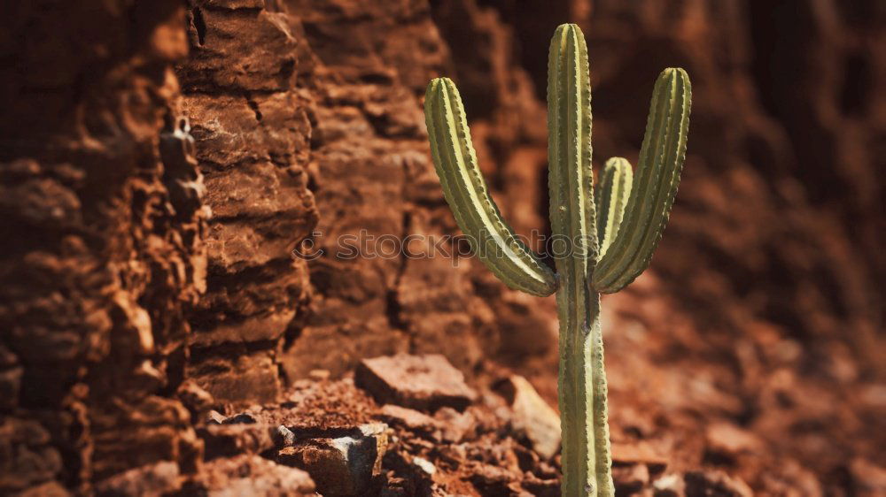 Similar – Image, Stock Photo green waste Masculine Hand